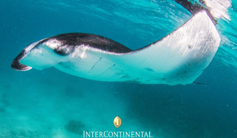 InterContinental Maldives: Manta Retreat